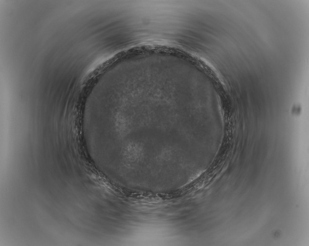 X0000094440919200711291632