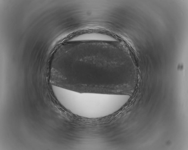 X0000094440920200711291632