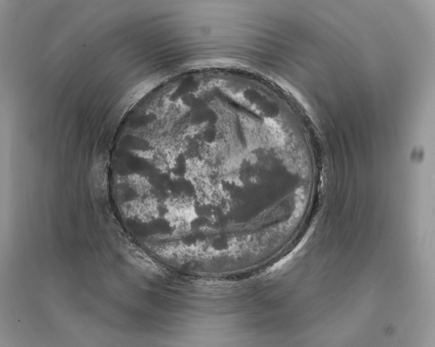 X0000094440921200711291632