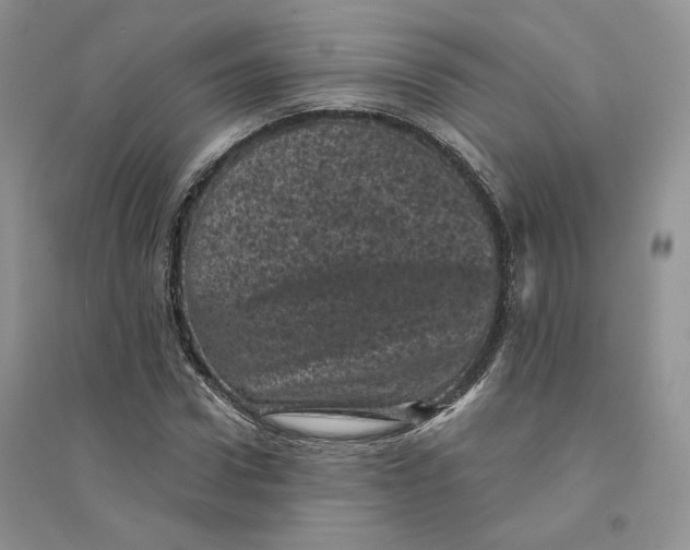 X0000094440922200711291632