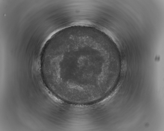 X0000094440923200711291632