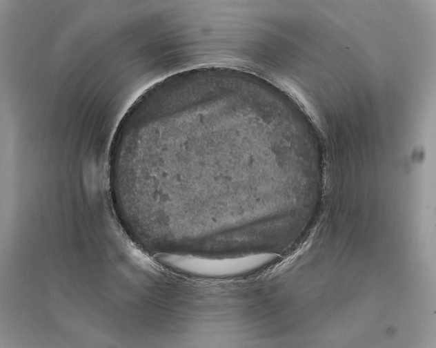 X0000094440924200711291632