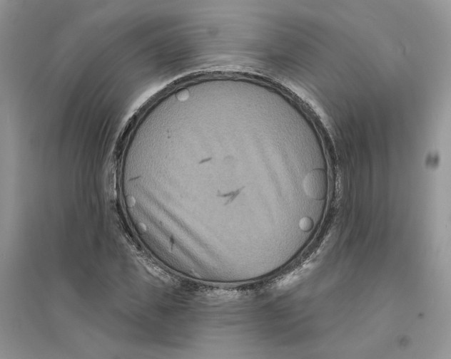 X0000094440925200711291632