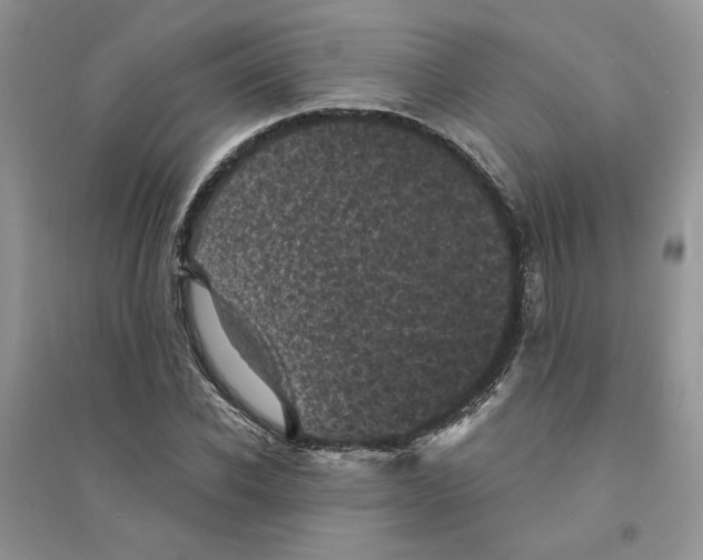 X0000094440926200711291632