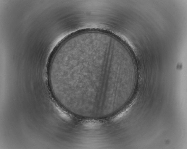 X0000094440927200711291632