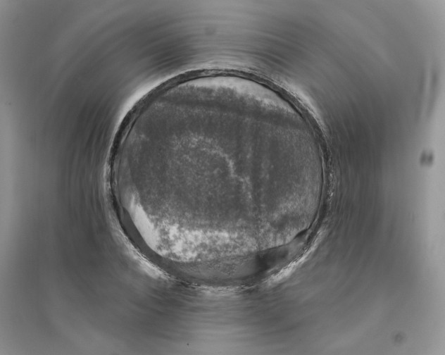 X0000094440928200711291632