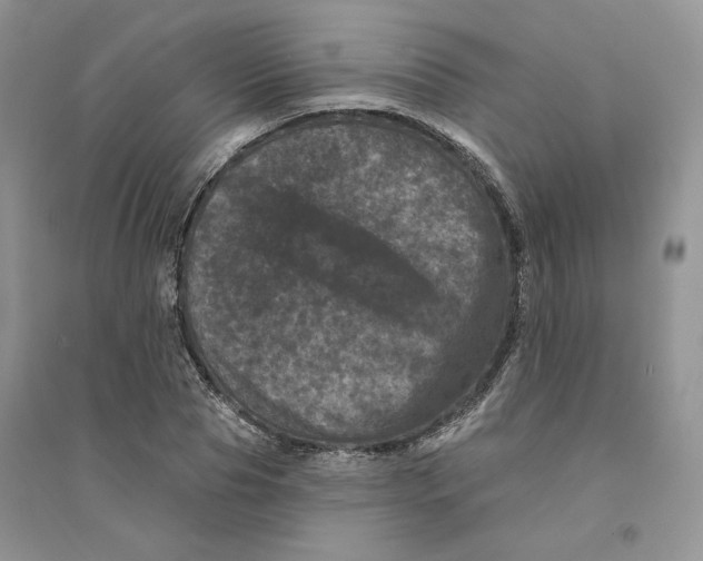 X0000094440929200711291632