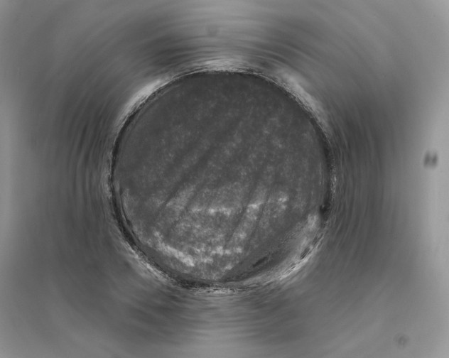 X0000094440930200711291632