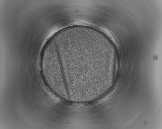 X0000094440931200711291632