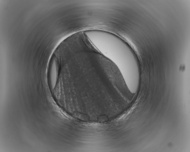 X0000094440932200711291632