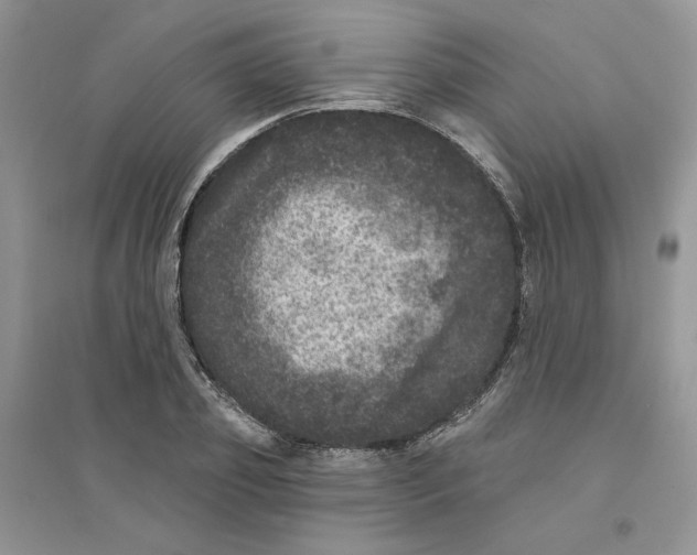 X0000094440933200711291632