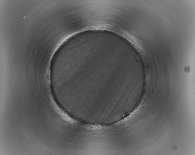 X0000094440934200711291632