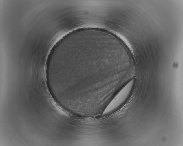 X0000094440935200711291632