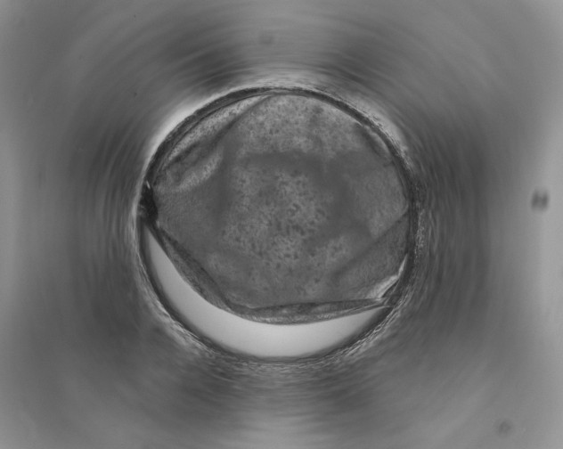 X0000094440936200711291632