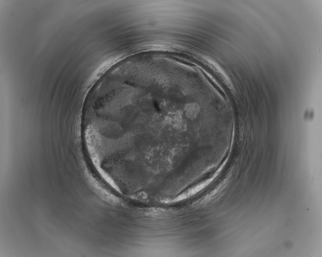 X0000094440938200711291632