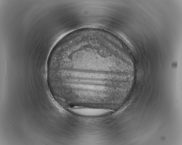 X0000094440940200711291632