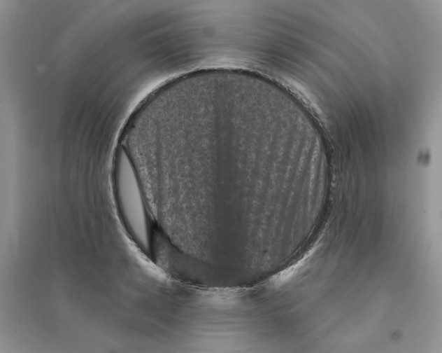 X0000094440942200711291632