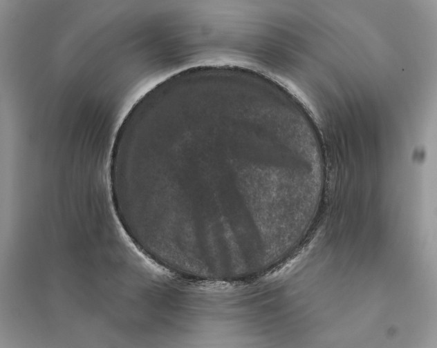 X0000094440943200711291632