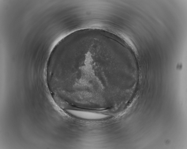 X0000094440944200711291632