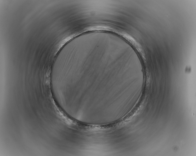 X0000094440945200711291632