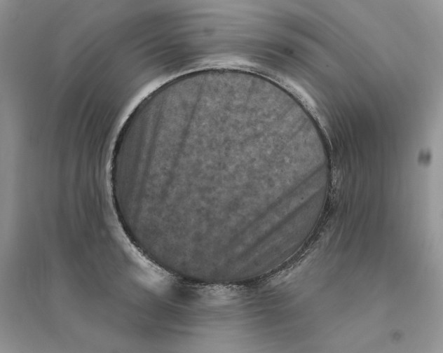 X0000094440947200711291632