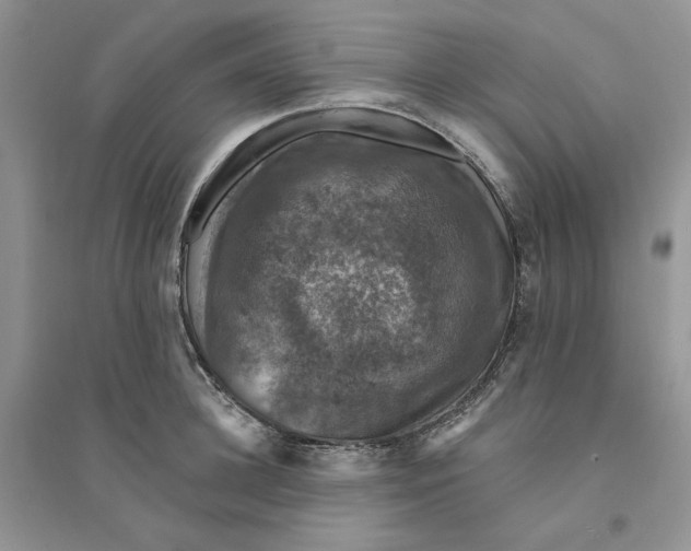 X0000094440948200711291632