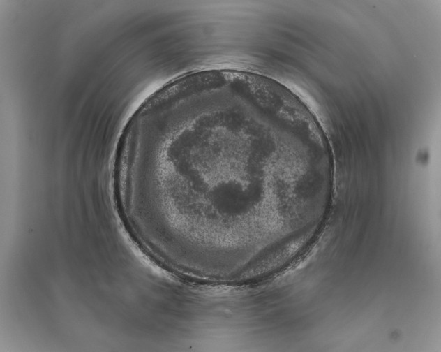 X0000094440949200711291632