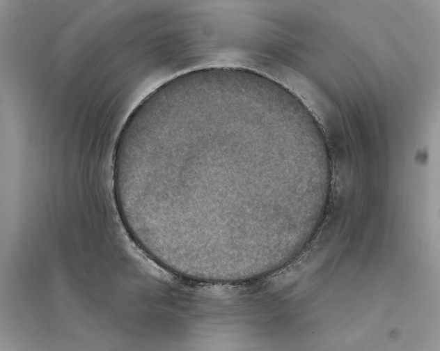 X0000094440950200711291632