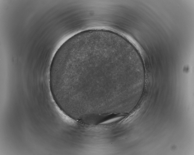 X0000094440951200711291632