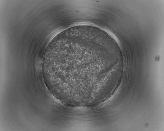 X0000094440953200711291632