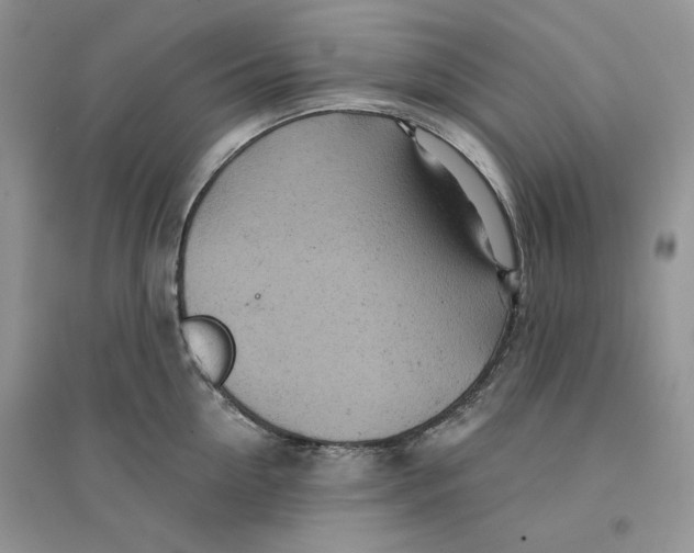 X0000094440954200711291632