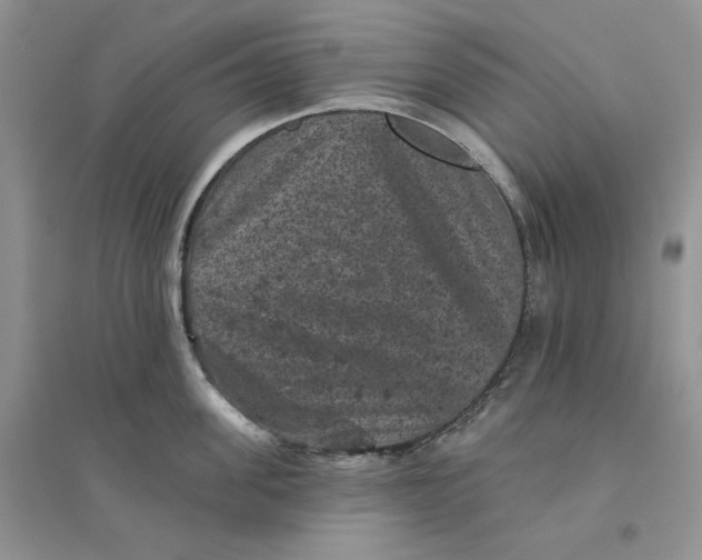 X0000094440955200711291632