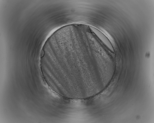 X0000094440956200711291632