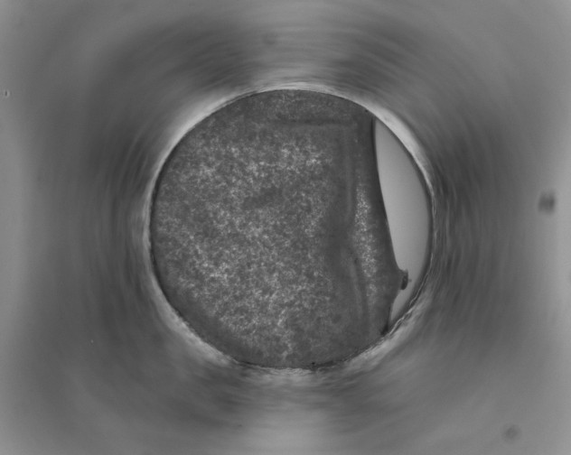 X0000094440957200711291632