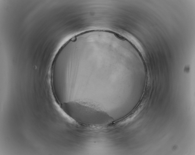 X0000094440958200711291632