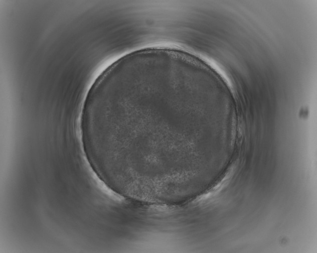 X0000094440959200711291632