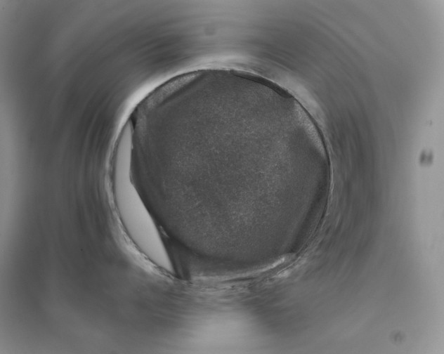 X0000094440960200711291632