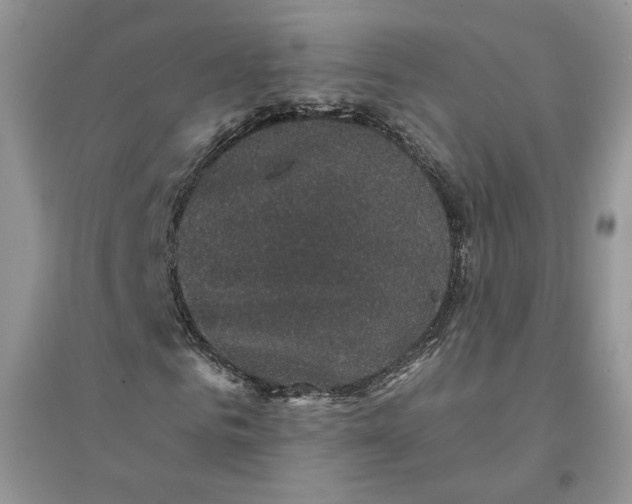 X0000094440961200711291632