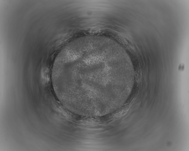 X0000094440962200711291632