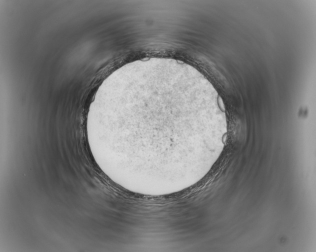 X0000094440964200711291632