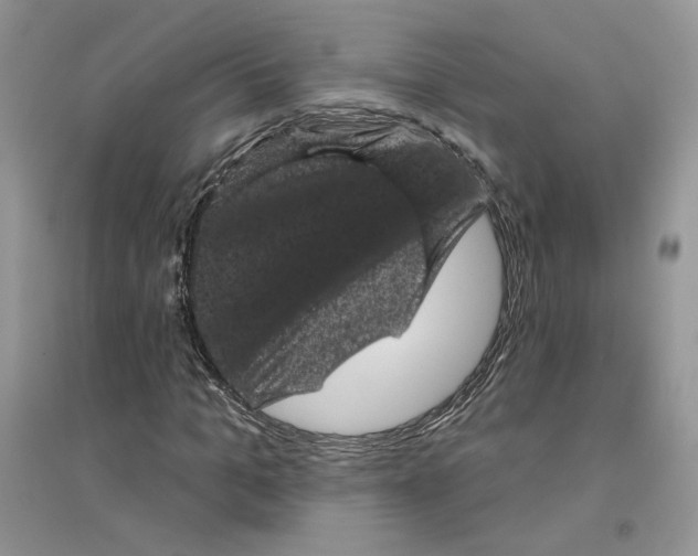 X0000094440965200711291632