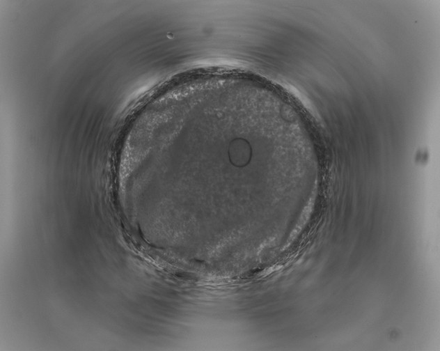 X0000094440967200711291632