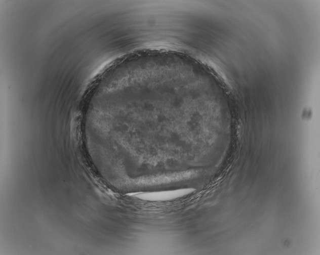 X0000094440968200711291632