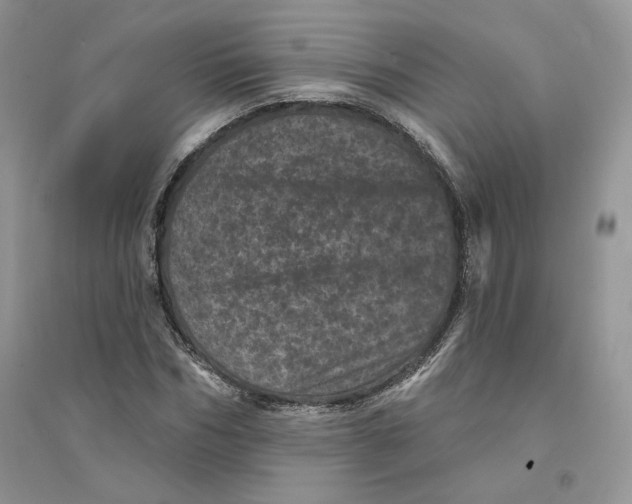 X0000094440970200711291632