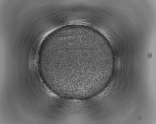 X0000094440971200711291631