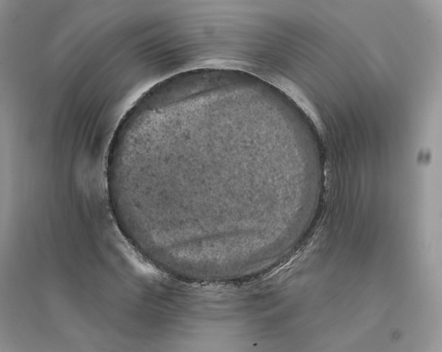 X0000094440972200711291631