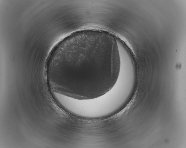 X0000094440973200711291631