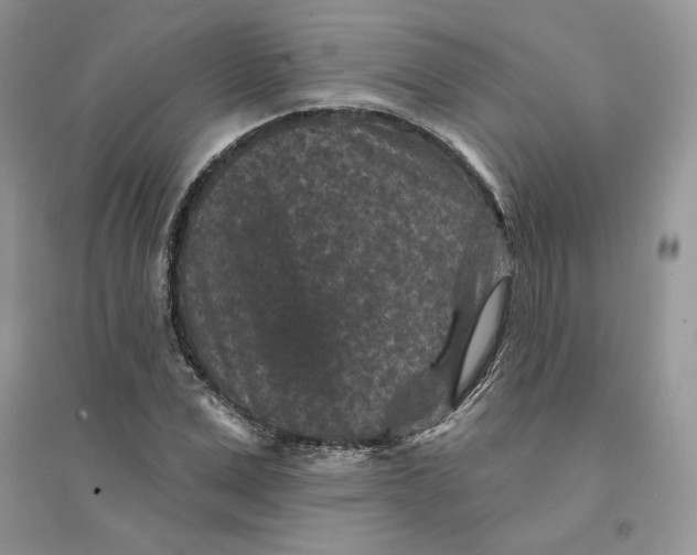 X0000094440975200711291631