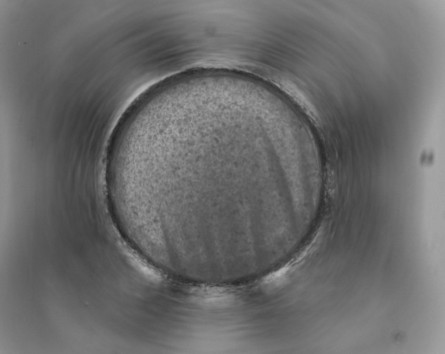 X0000094440976200711291631