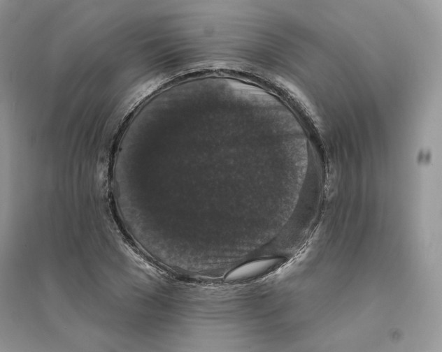 X0000094440977200711291631